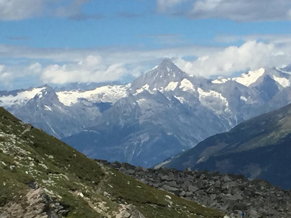 Elite Alpine Lodge - Apart & Breakfast Saas-Fee Esterno foto